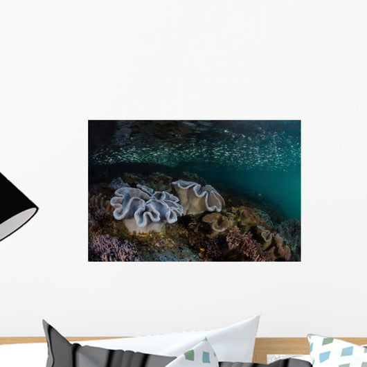 Silversides Swim above Soft Wall Decal