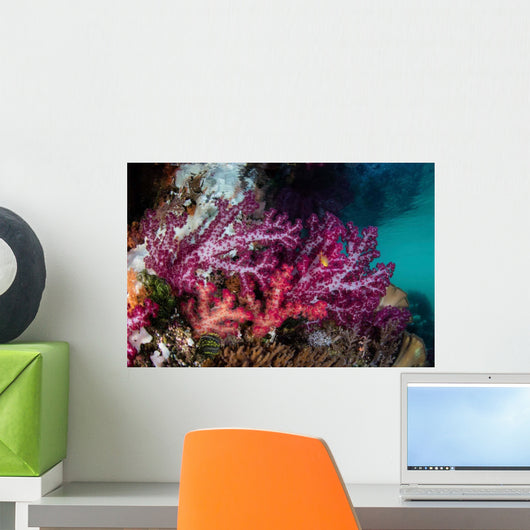 Vibrant Soft Corals Grow Wall Decal Design 2