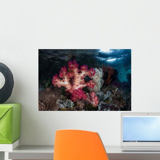 Vibrant Soft Corals Grow Wall Decal Design 1