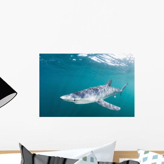 Sleek Blue Shark Swimming Wall Decal Design 3