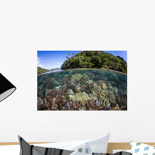 Healthy Coral Reef Grows Wall Decal Design 6