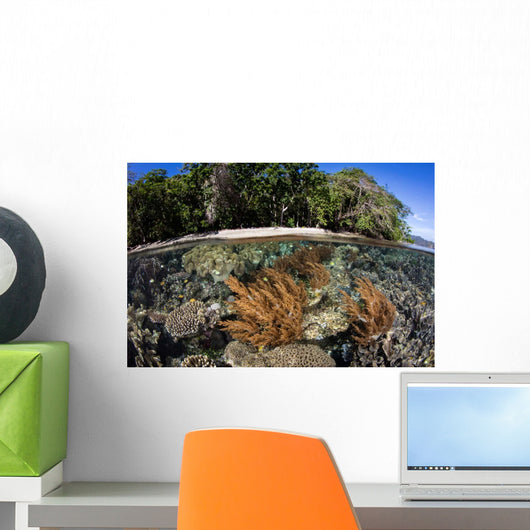 Healthy Coral Reef Grows Wall Decal Design 5