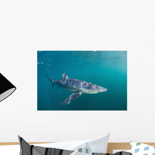Sleek Blue Shark Swimming Wall Decal Design 2