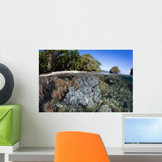 Healthy Coral Reef Grows Wall Decal Design 4