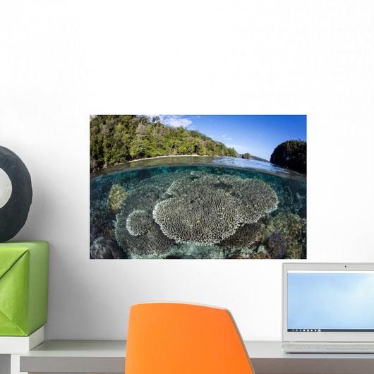Healthy Coral Reef Grows Wall Decal Design 3