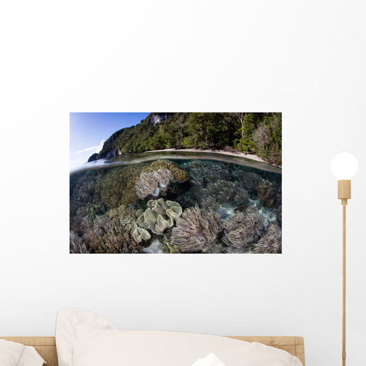 Healthy Coral Reef Grows Wall Decal Design 1