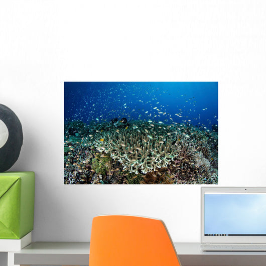 Beautiful and Healthy Coral Wall Decal Design 4