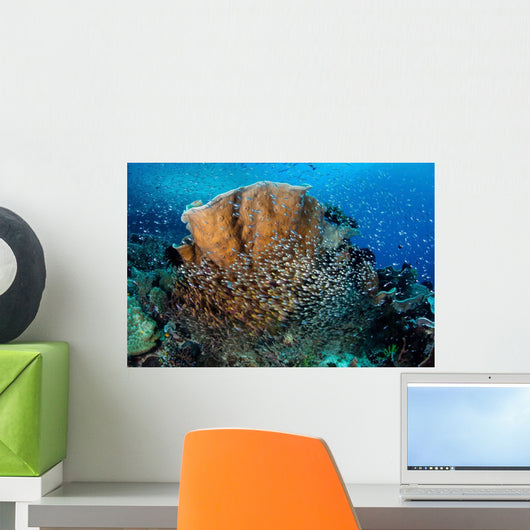 Schooling Cardinalfish and Sweepers Wall Decal