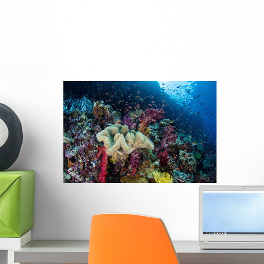 Beautiful and Healthy Coral Wall Decal Design 3