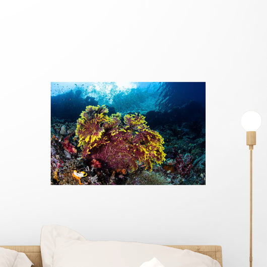 Beautiful Gorgonian Grows Reef Wall Decal