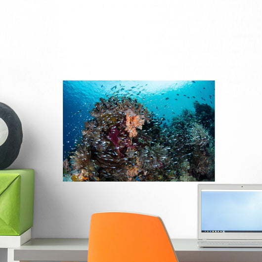Beautiful and Healthy Coral Wall Decal Design 2