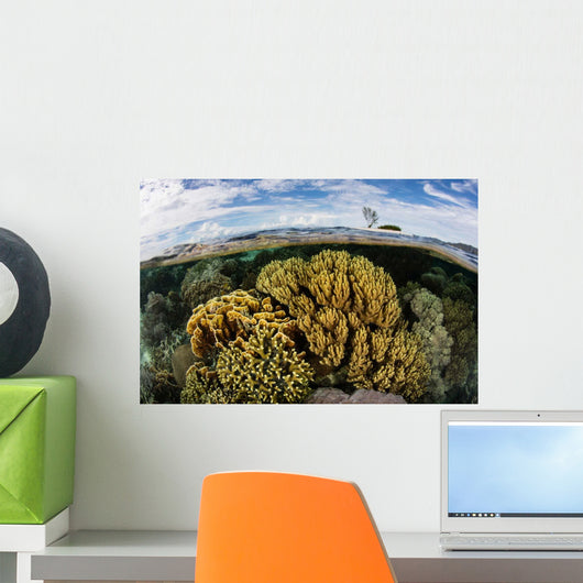 Variety Corals Grow Shallow Wall Decal Design 3