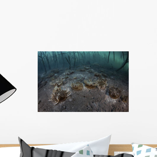 Upside-down Jellyfish Lay Seafloor Murky Wall Decal