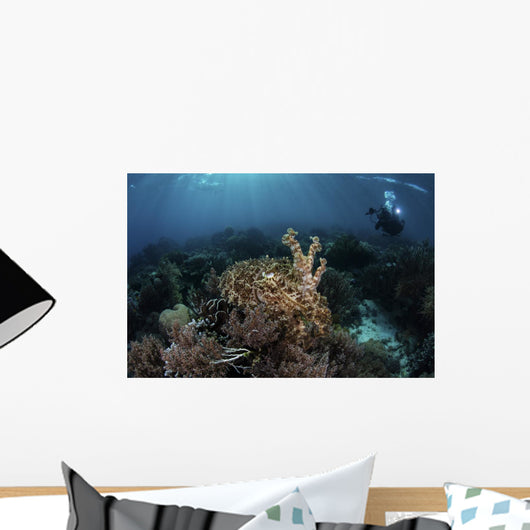 Broadclub Cuttlefish Hovers Horizontal Wall Decal