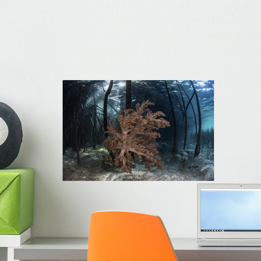 Soft Coral Colony Grows Wall Decal