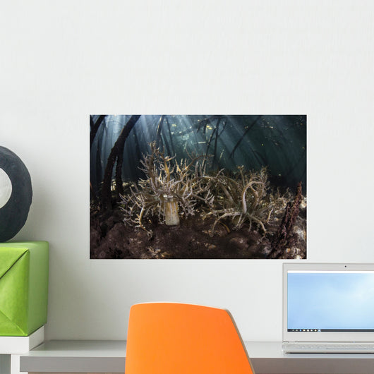 Pair Hell's Fire Anemones Wall Decal