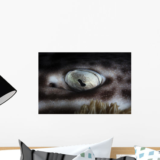 Coral Catshark Rests Seafloor Eye Wall Decal