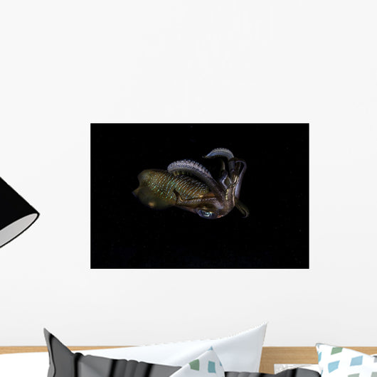 Bigfin Reef Squid Tentacles Wall Decal
