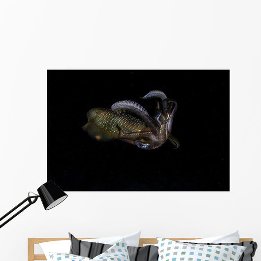 Bigfin Reef Squid Tentacles Wall Decal