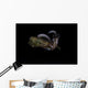 Bigfin Reef Squid Tentacles Wall Decal