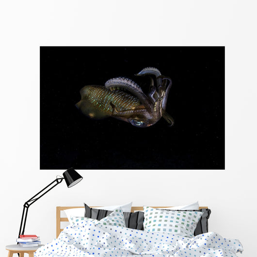Bigfin Reef Squid Tentacles Wall Decal