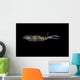 Bigfin Reef Squid Horizontal Wall Decal