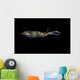 Bigfin Reef Squid Horizontal Wall Decal