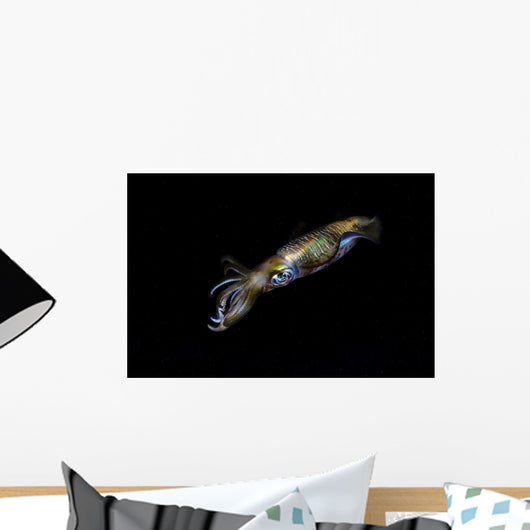 Bigfin Reef Squid Wall Decal