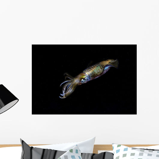 Bigfin Reef Squid Wall Decal