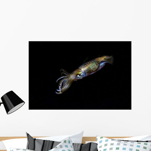 Bigfin Reef Squid Wall Decal