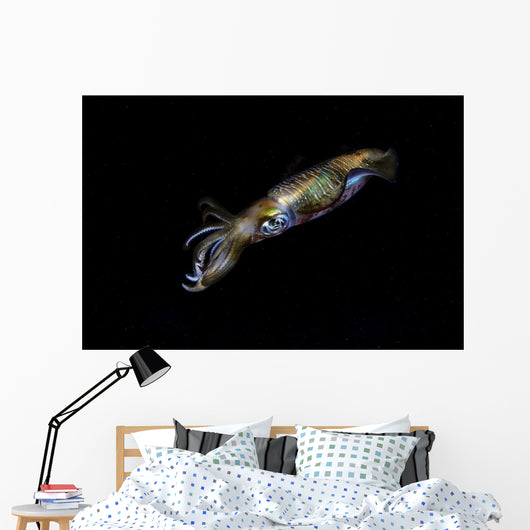 Bigfin Reef Squid Wall Decal