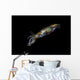 Bigfin Reef Squid Wall Decal