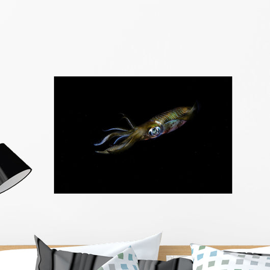 Bigfin Reef Squid Left Side Wall Decal