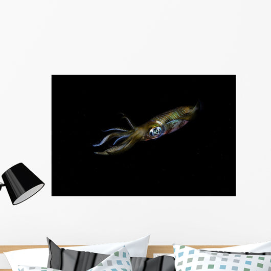 Bigfin Reef Squid Left Side Wall Decal