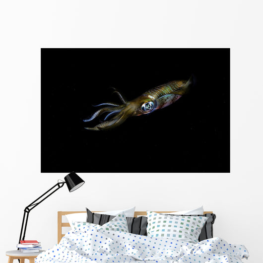 Bigfin Reef Squid Left Side Wall Decal