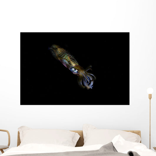 Bigfin Reef Squid Right Side Wall Decal