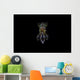 Bigfin Reef Squid Front View Wall Decal