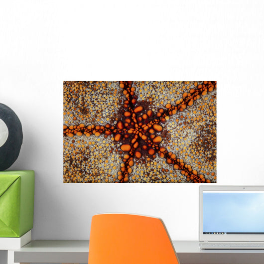 Detail Pin Cushion Starfish Wall Decal