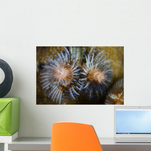 Colorful Christmas Tree Worm Wall Decal