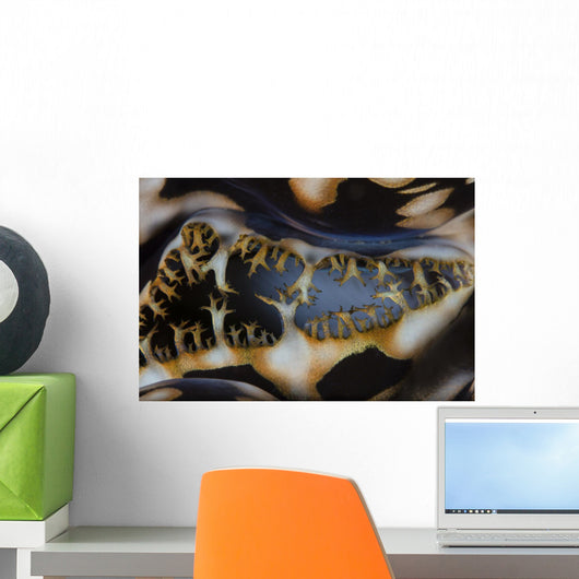 Abstract Giant Clam Living Wall Decal