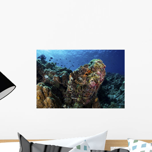 Large Scorpionfish Camouflages Itself Wall Decal