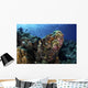 Large Scorpionfish Camouflages Itself Wall Decal