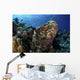 Large Scorpionfish Camouflages Itself Wall Decal