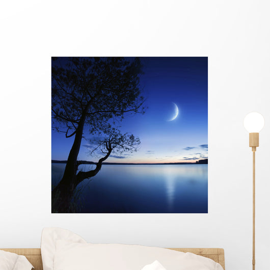 Silhouette Lonely Tree Lake Wall Decal