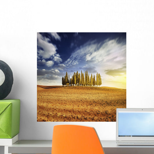 Sunset Golden Field with Wall Decal