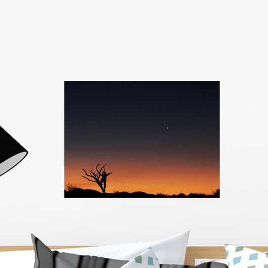 Bare Tree and Human Wall Decal