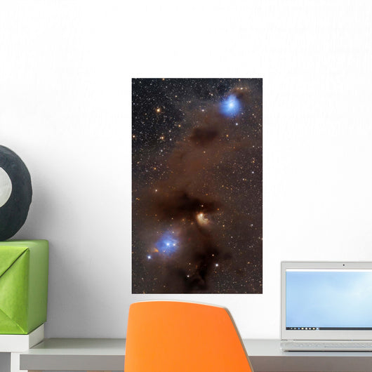 Rich Region Reflection and Wall Decal
