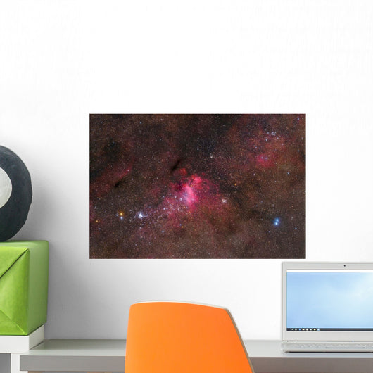 False Comet Cluster Scorpius Wall Decal