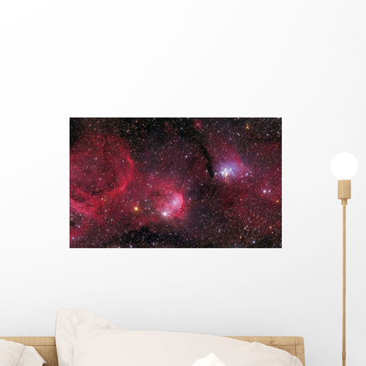Ngc 3293 Gem Cluster Wall Decal