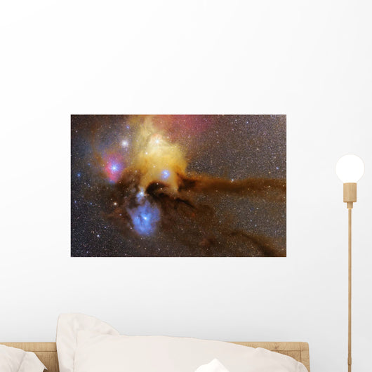 Heart Scorpius Antares Region Wall Decal